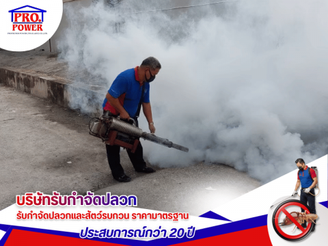 รับพ่นยุงกำจัดแมลง ชลบุรี